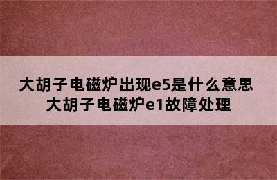 大胡子电磁炉出现e5是什么意思 大胡子电磁炉e1故障处理